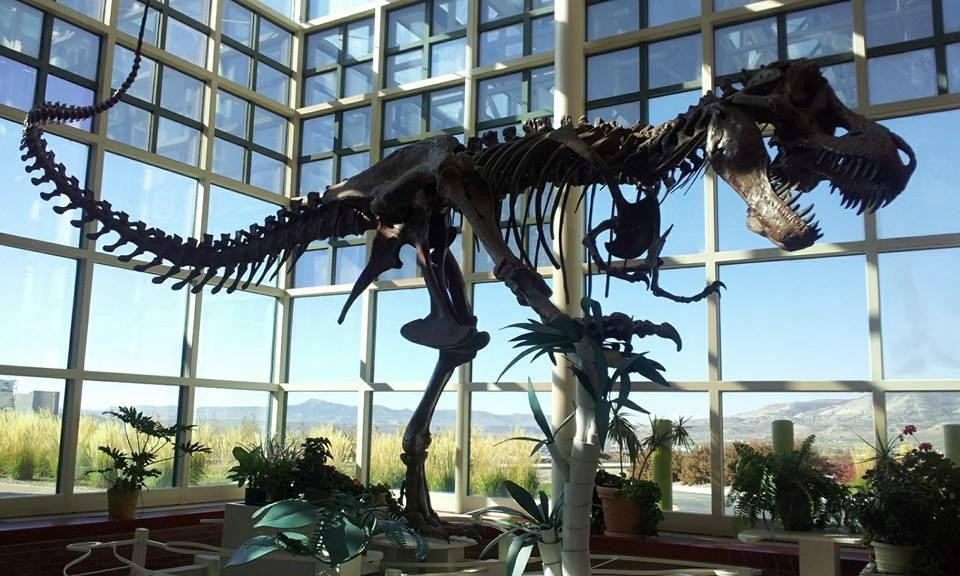 Natural History Museum - Western Wyoming Community College景点图片