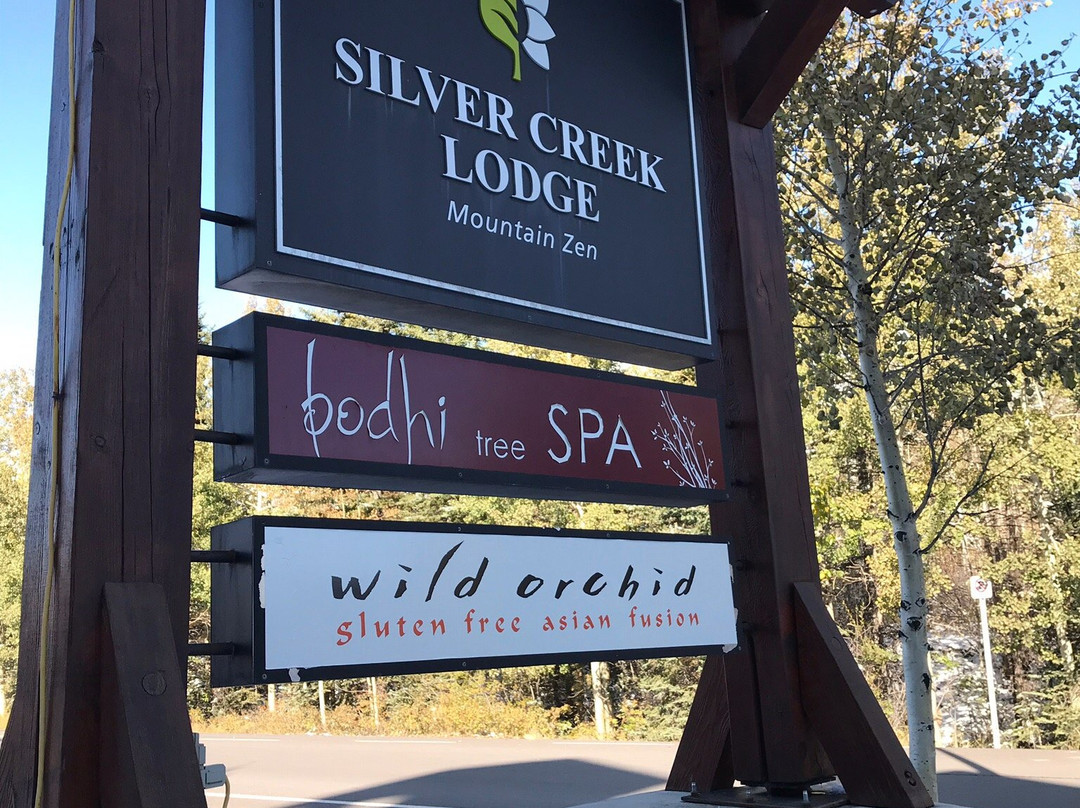 Bodhi Tree Spa-坎莫尔必去景点