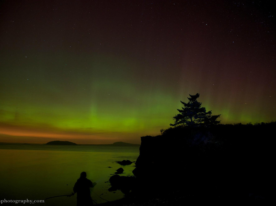 Roche Harbor旅游景点-Reuben Tarte Memorial Park