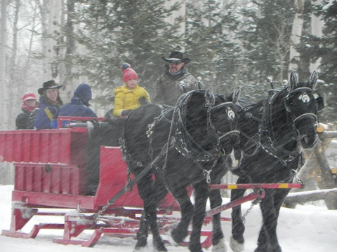 Park City Sleigh Rides-帕克城必去景点
