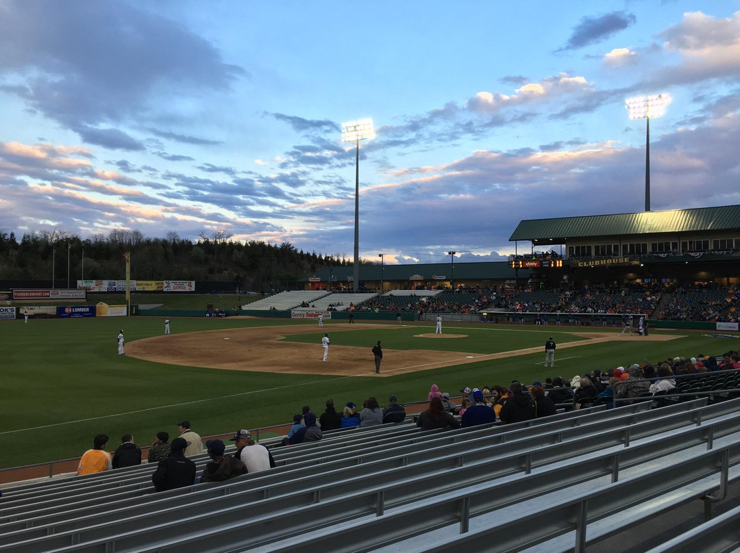 Tennessee Smokies Minor League Baseball and Smokies Park景点图片