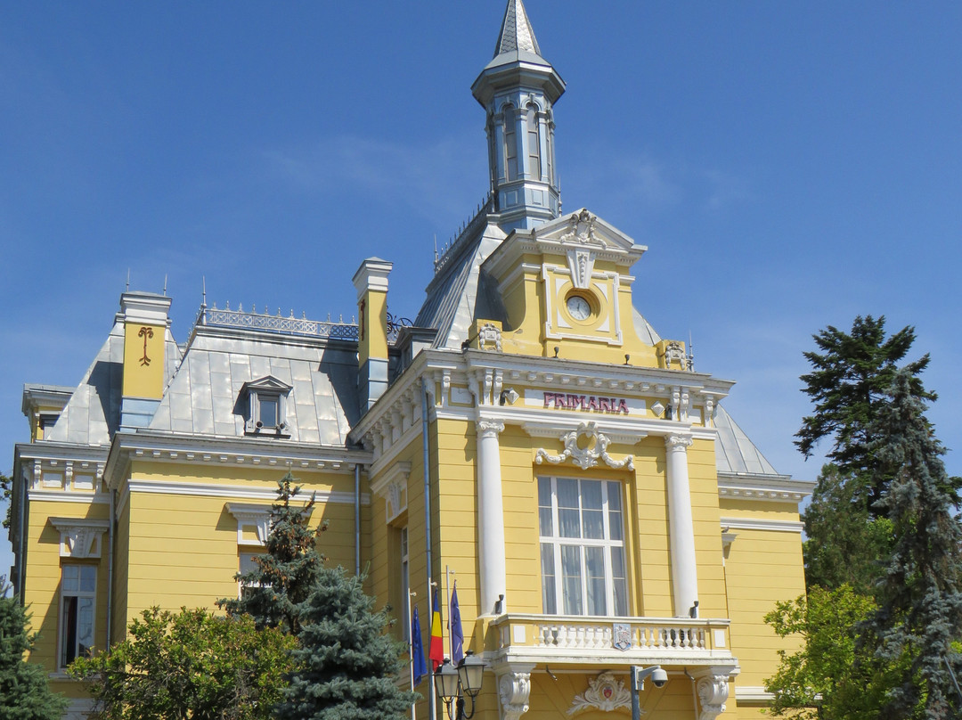 City Hall Botosani景点图片