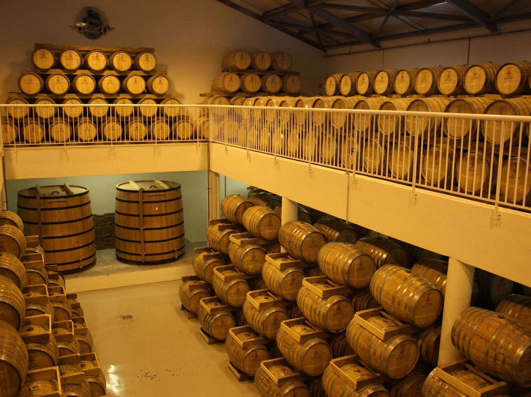Distillerie Bologne景点图片