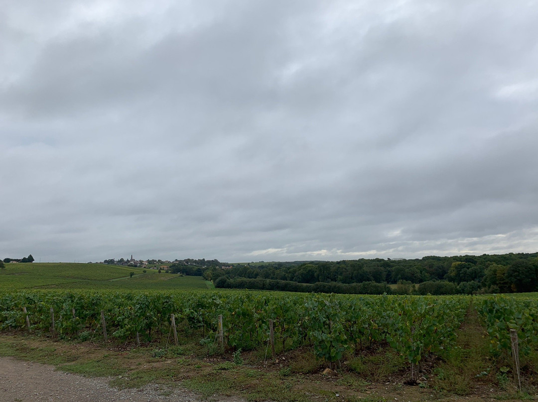 Nantes Wine Tour景点图片