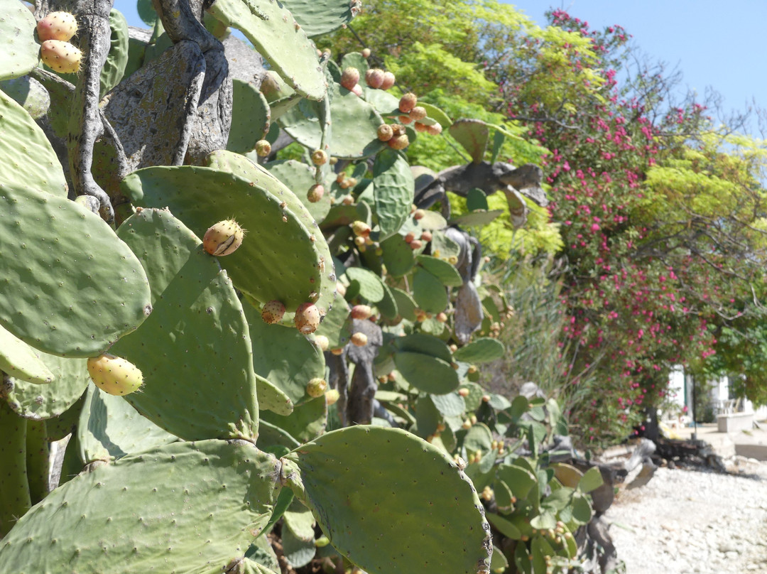 Agrapidia-Kalamos必去景点