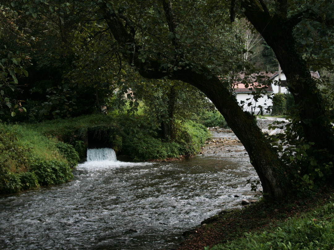 Reka Vrelo (One Year River - Reka Godina)景点图片