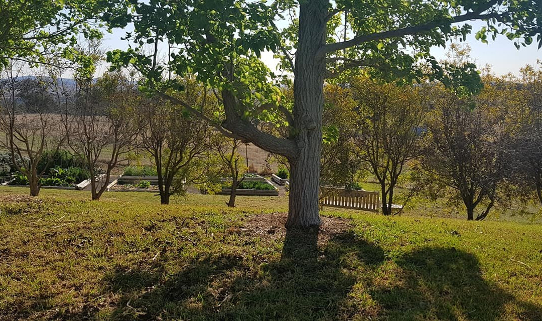 Rosby Guesthouse主图