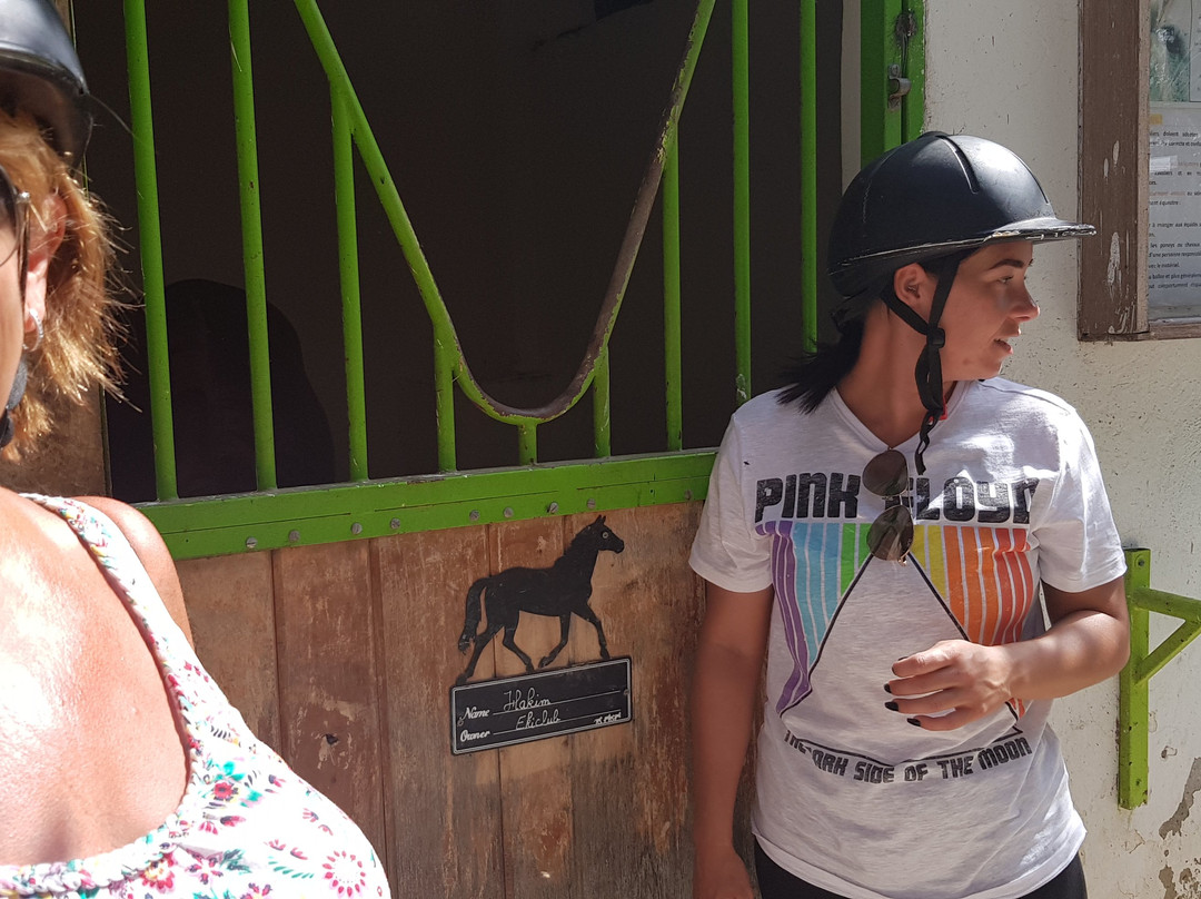 EkiClub-摩纳斯特必去景点