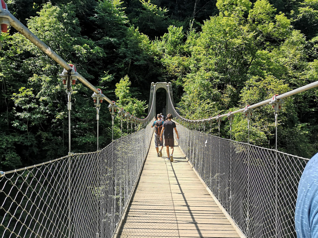 Passerelle d'Holzarte景点图片