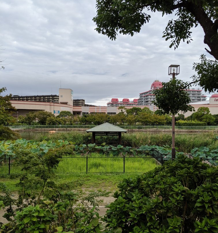 Ichibaike Park-摄津市必去景点