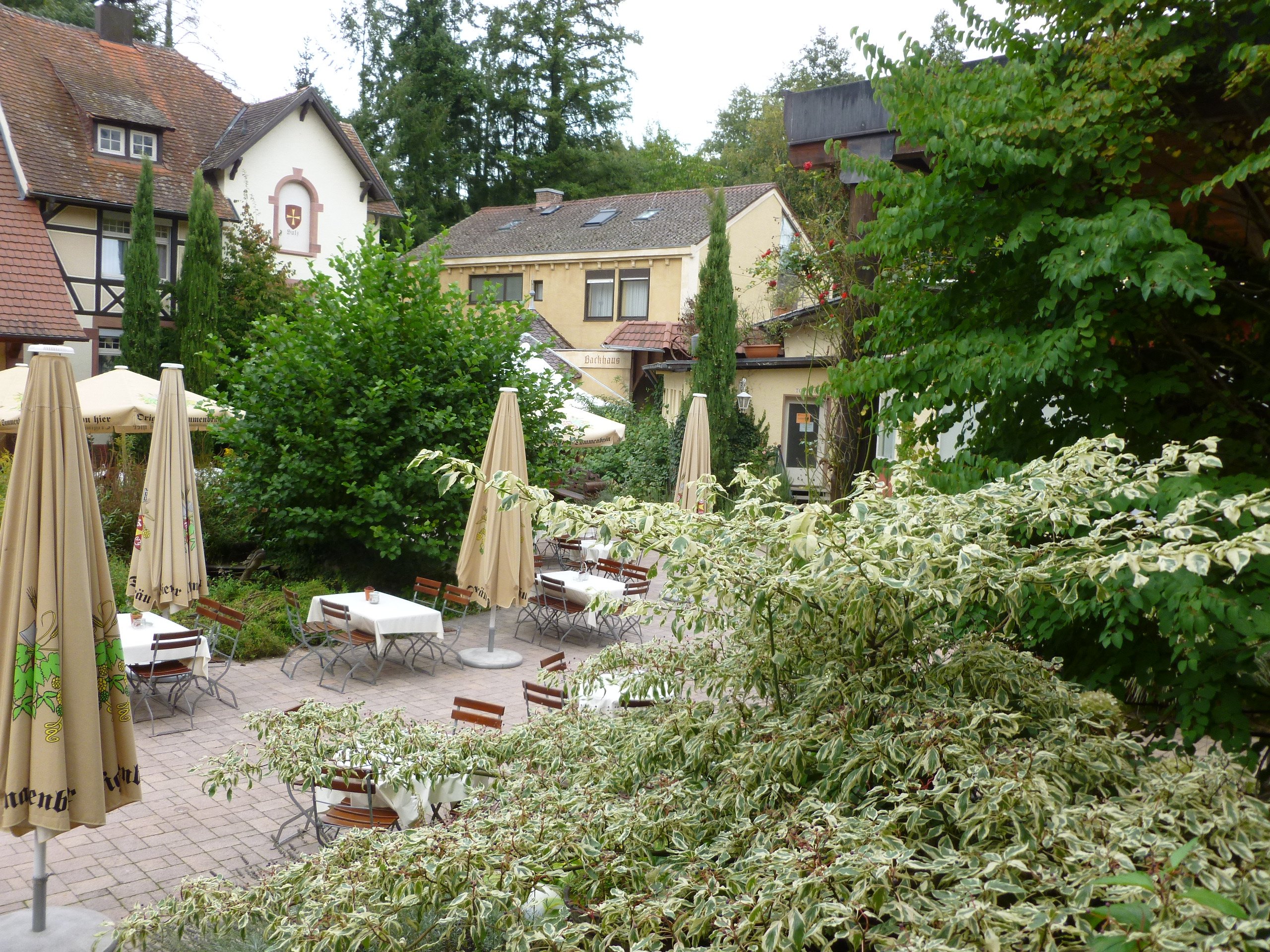 Hotel Dammenmühle-酒店景观