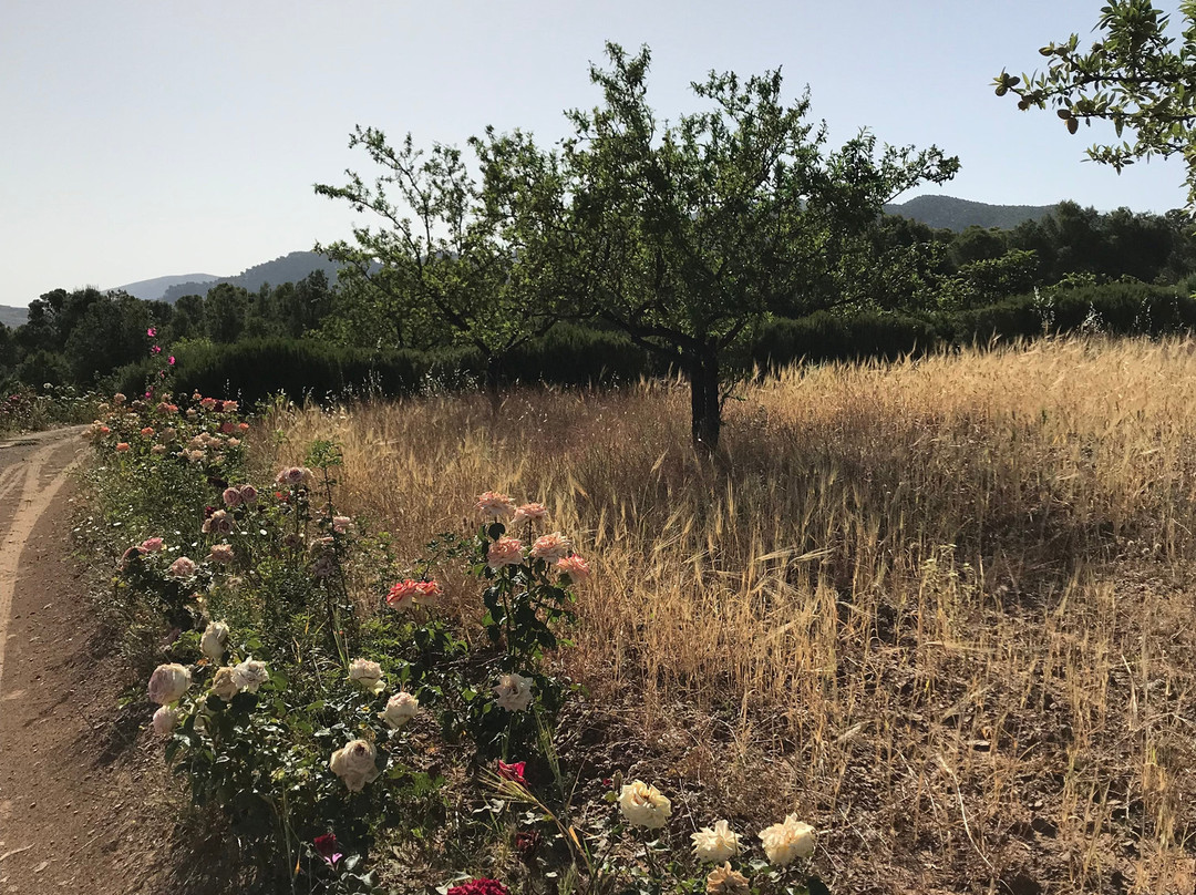 Terres d'Amanar主图