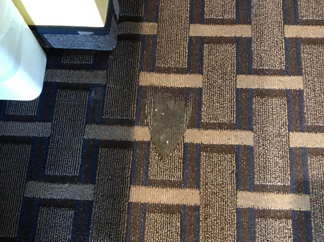 Sky Lodge Inn & Suites主图