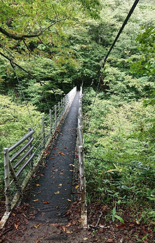 Daisen Fall Suspension Bridge景点图片