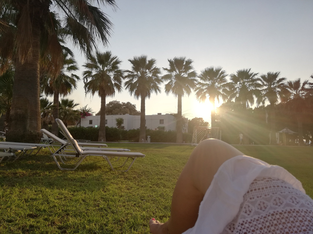 Alex Beach Hotel主图