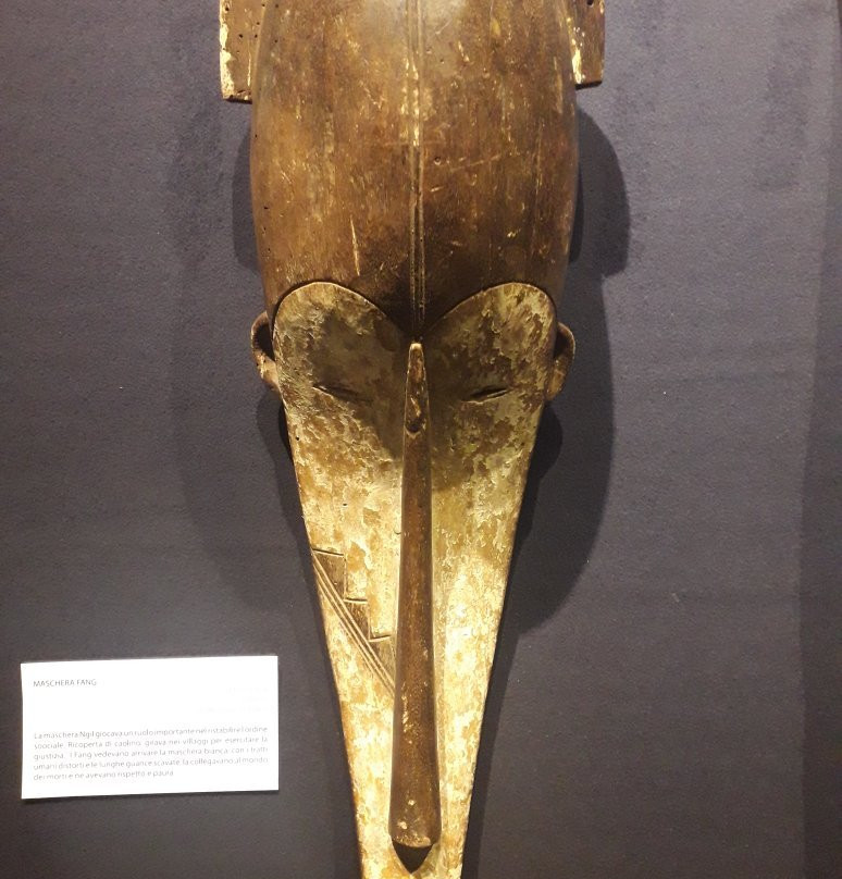Museo Castiglioni景点图片
