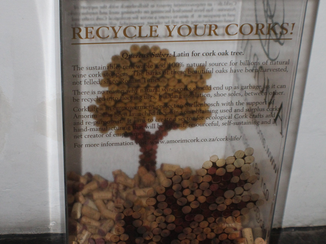 Neethlingshof Estate-斯泰伦博斯必去景点