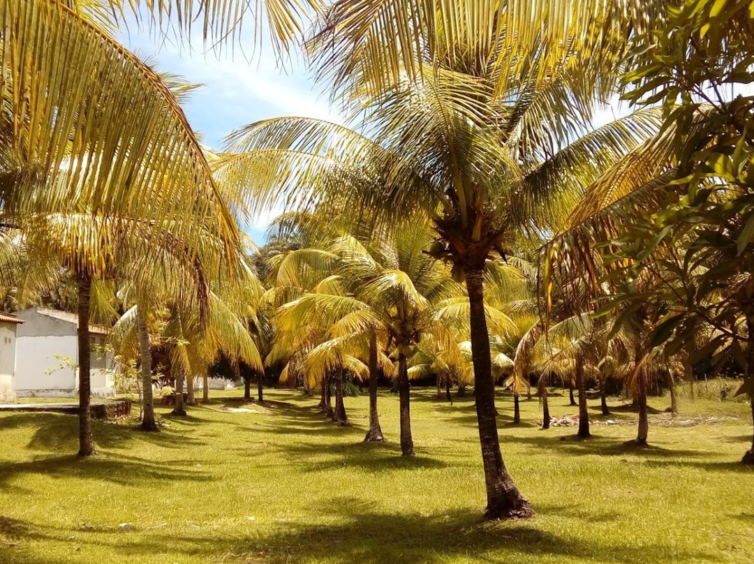 Pousada Paraiso Perdido主图