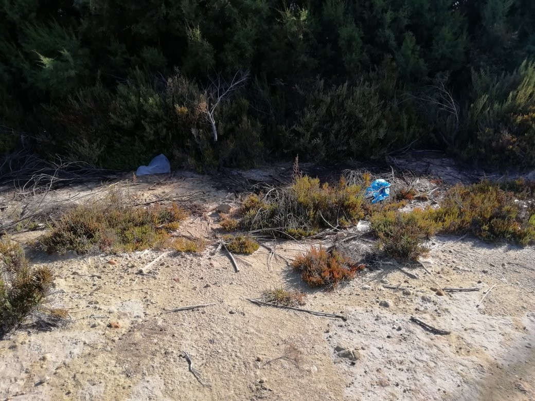 Parque Natural Punta Entinas-滨海罗克塔斯必去景点
