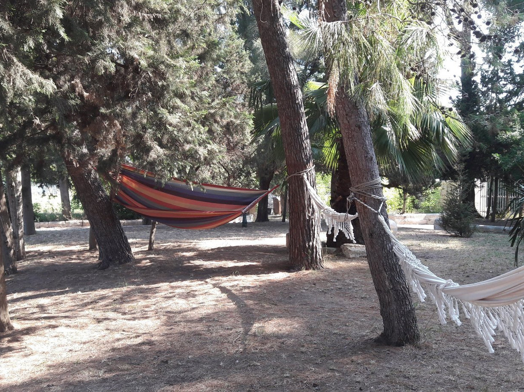 B&B Villa Spada Donadeo主图