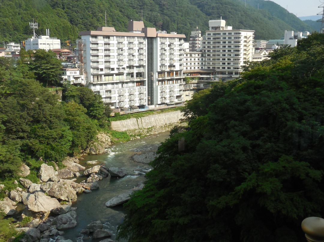大江户温泉物语酒店 - 鬼怒川御苑主图