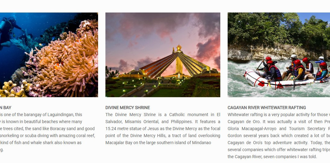 LOHAS Airport Hotel主图