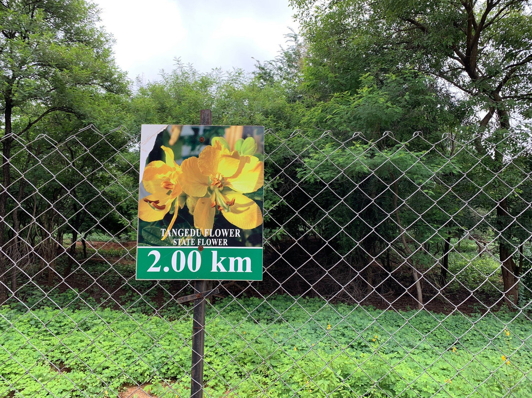 Mahavir Harina Vanasthali National Park景点图片