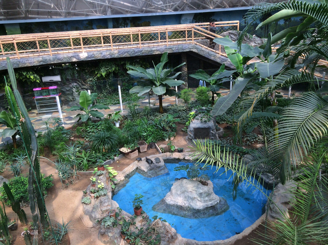 Pyongyang Central Zoo-平壤必去景点