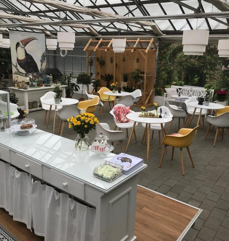 Cimiotti's Garten-Mendig必去景点