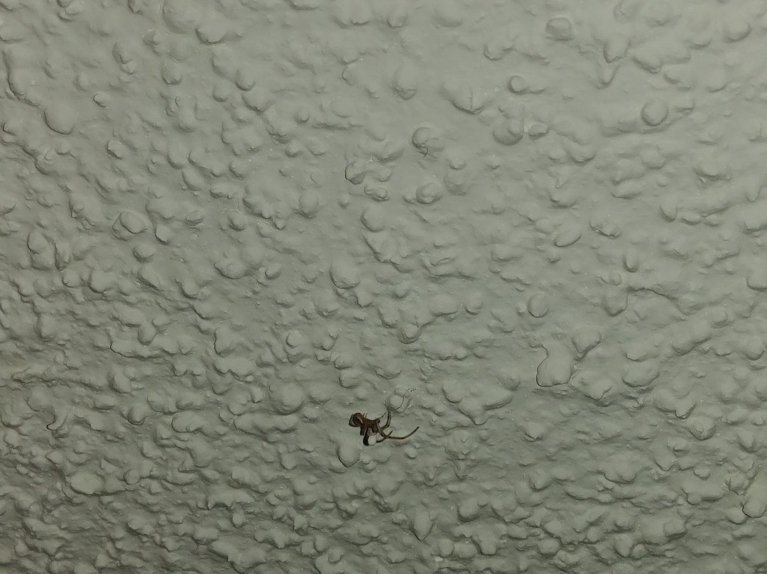 King Oscar Motel主图