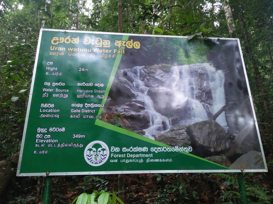 Tropical Rain Forest Sinharaja-Neluwa必去景点