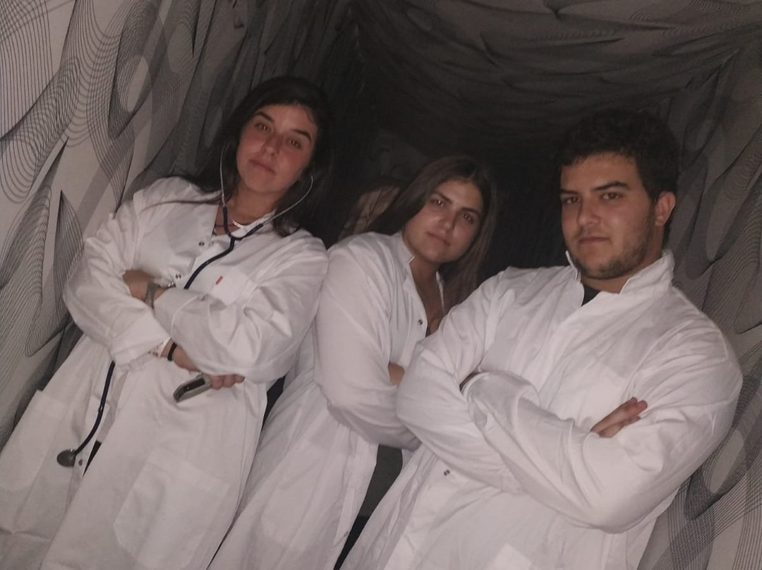 Enigmatic-Haifa必去景点