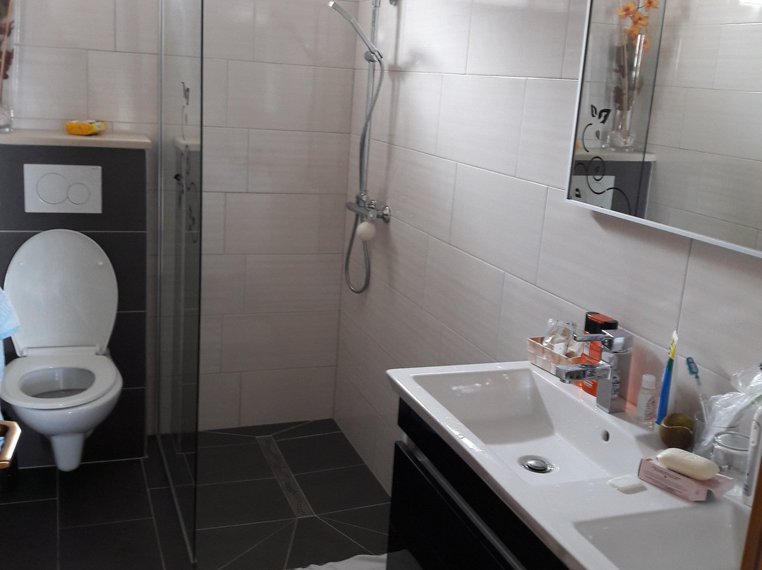 Apartments Silva主图