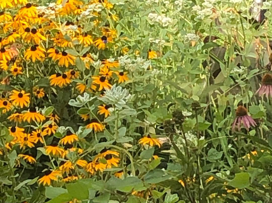 Garth Woodside Mansion主图