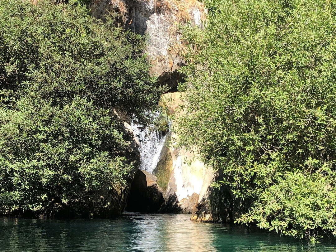 Cueva del Gato景点图片