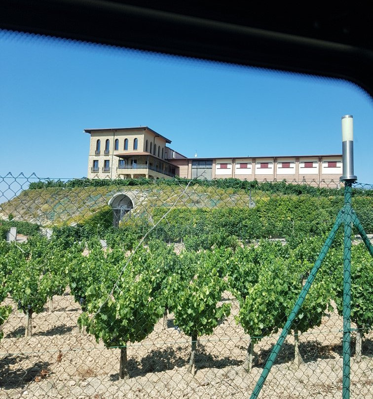 Bodegas Manzanos Azagra-Azagra必去景点