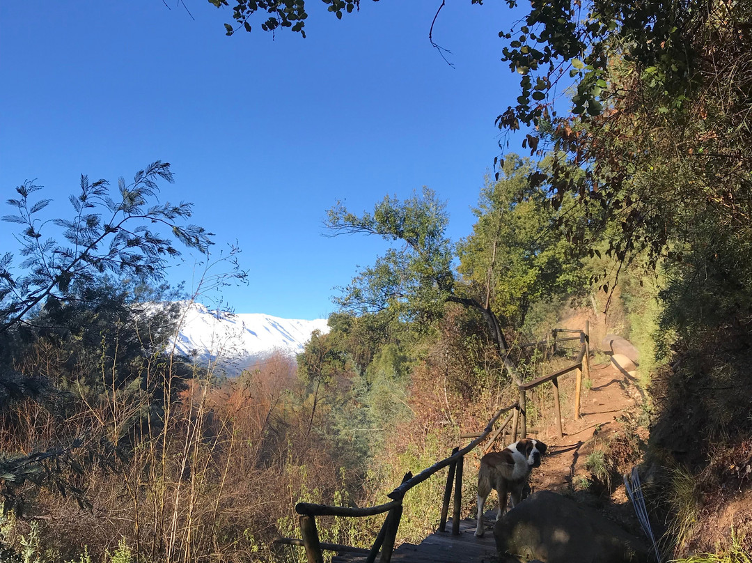 Tumuñan Lodge主图