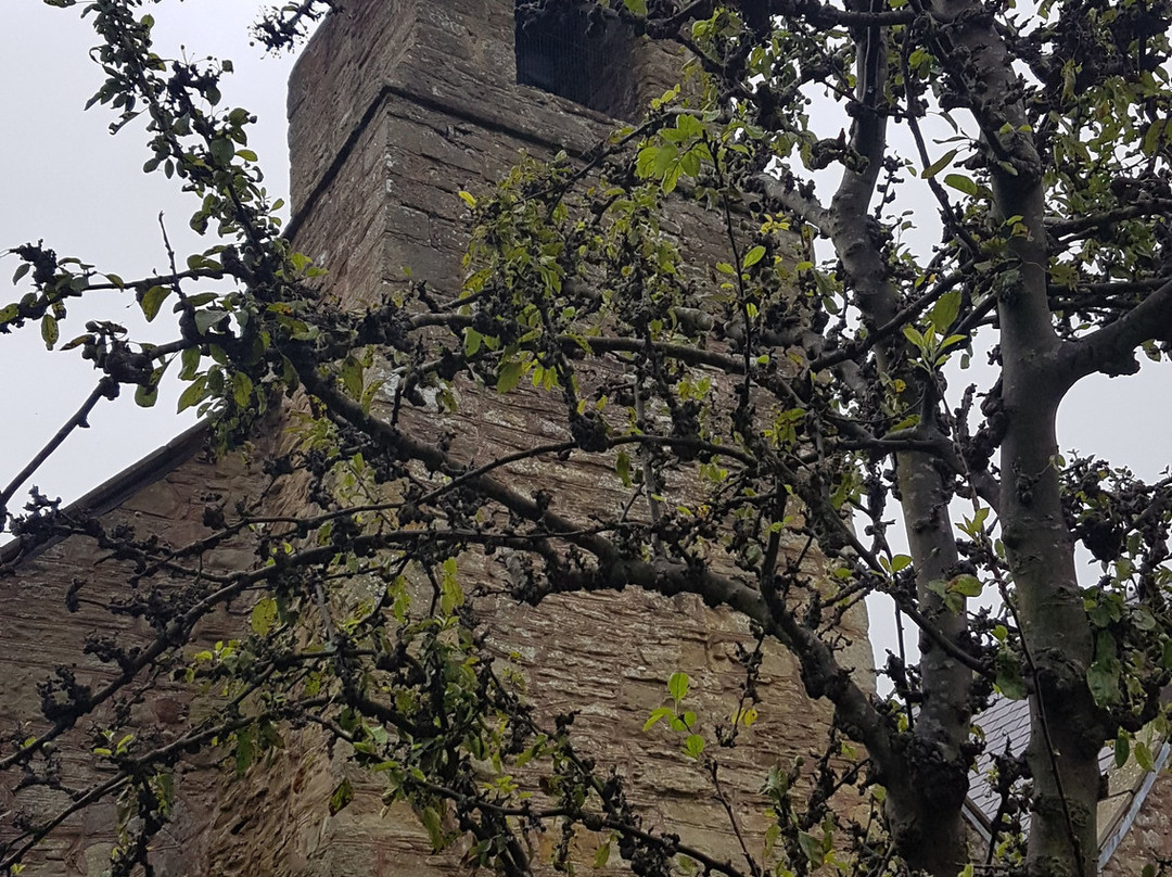 Llanasa Parish Church景点图片