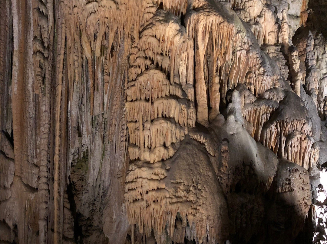 Postojna Cave景点图片