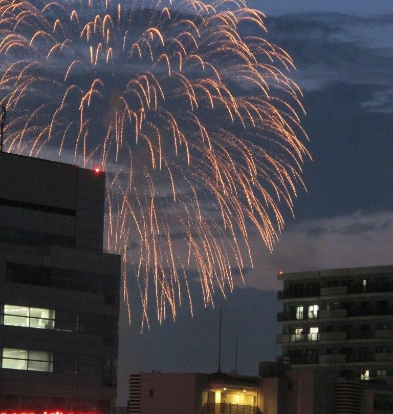 Tachikawa Matsuri Showa Kinen Park Fireworks Festival-立川市必去景点