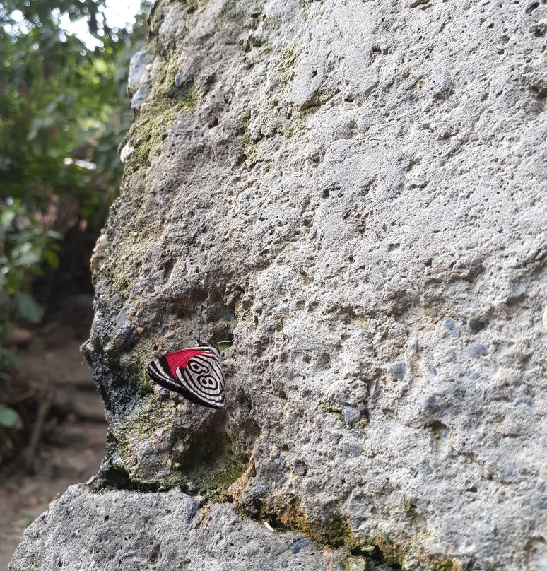 La Maloca de los Vientos-El Cerrito必去景点