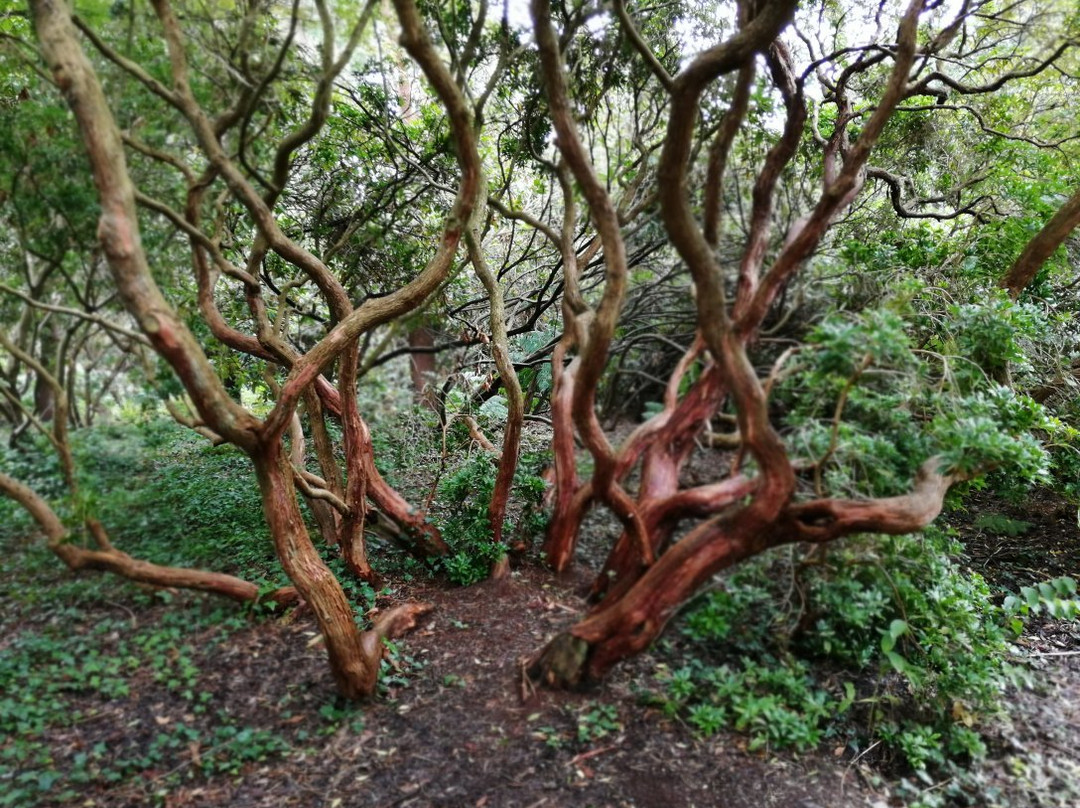 Le Bois Des Moutiers景点图片