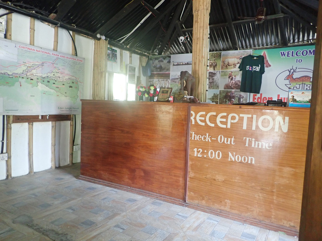 伊甸园丛林度假村主图