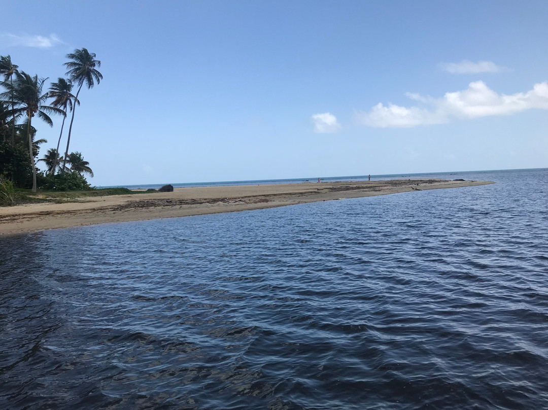 La Paseadora del Río Espíritu Santo-Rio Grande必去景点
