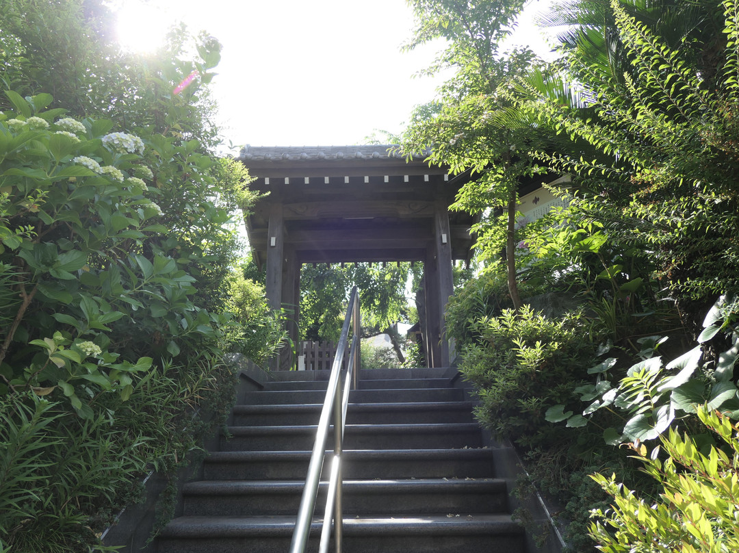Koshoji Temple-镰仓市必去景点