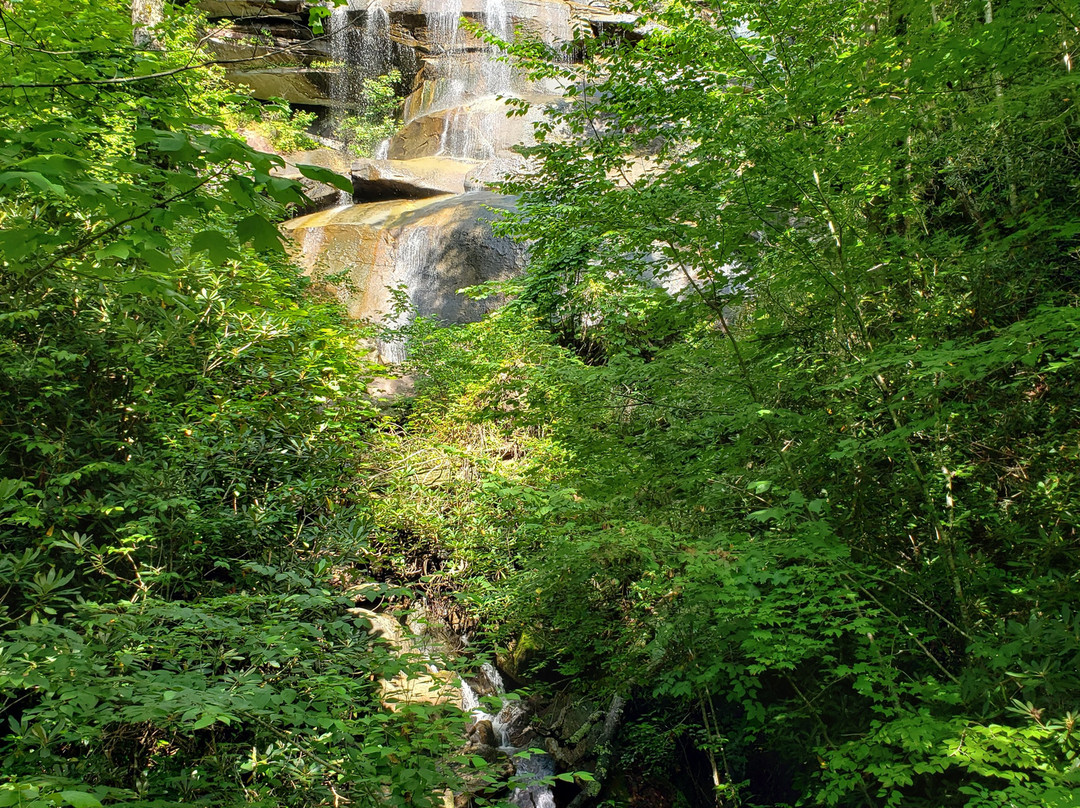 Daniel Ridge Falls景点图片