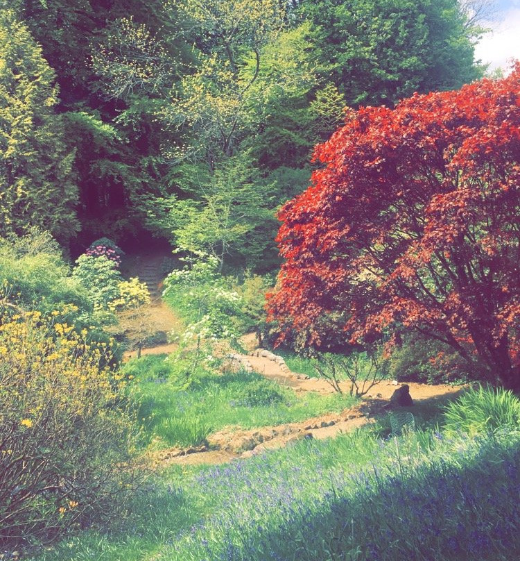 Lukesland Gardens-Ivybridge必去景点