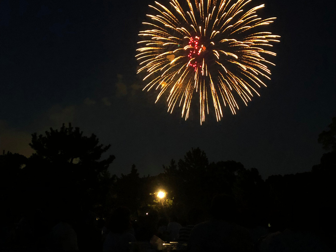 Edogawa Fireworks-江戸川区必去景点