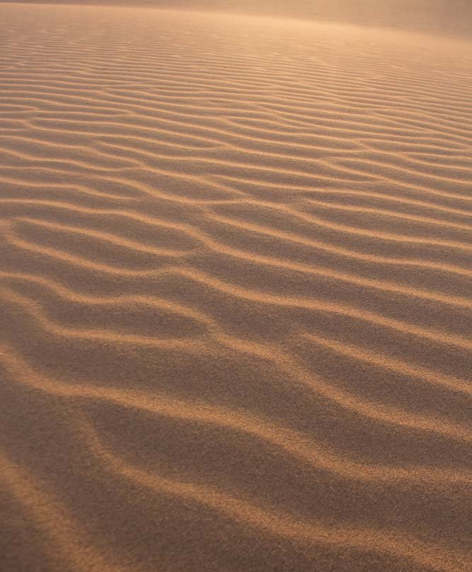 Sahara-Marokko-迈哈米德必去景点