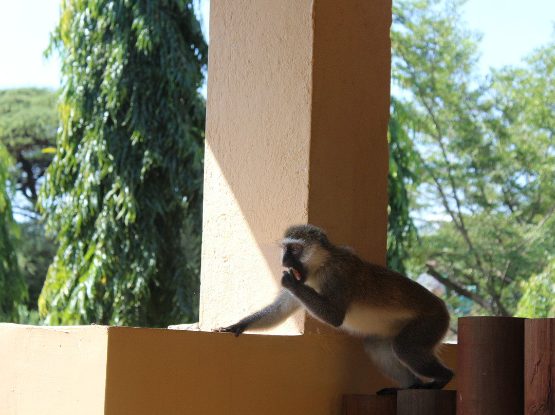 岛营地巴林戈豪华帐篷旅馆主图